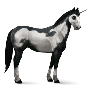 riding unicorn appaloosa black leopard 