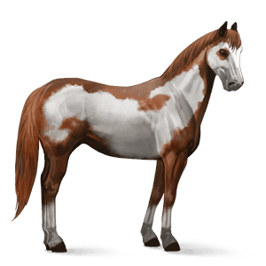 riding horse paint horse chestnut tobiano