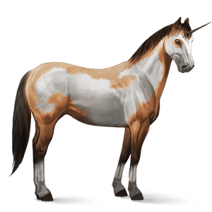 riding unicorn paint horse dun overo