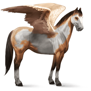 riding pegasus thoroughbred liver chestnut