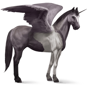 winged riding unicorn dapple gray tobiano