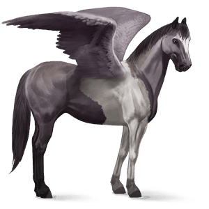 riding pegasus light gray