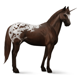 riding unicorn appaloosa chestnut leopard 