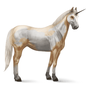 riding unicorn arabian horse cherry bay