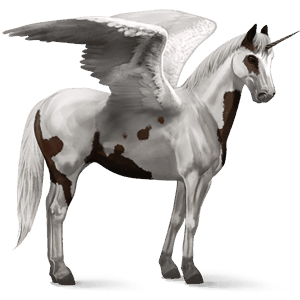 winged riding unicorn irish hunter palomino