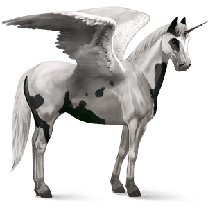 winged riding unicorn argentinean criollo dark bay