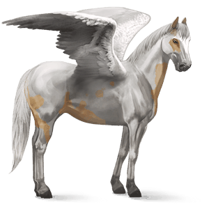 riding pegasus arabian horse flaxen chestnut 