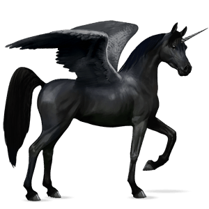 winged riding unicorn black