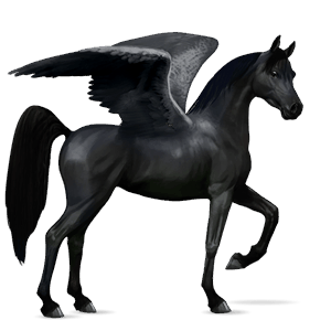 riding pegasus mustang black