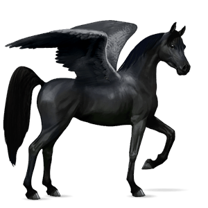 riding pegasus arabian horse light gray