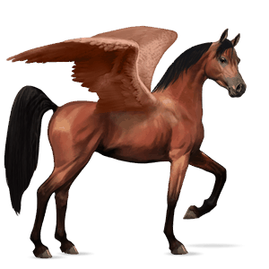 riding pegasus peruvian paso dun