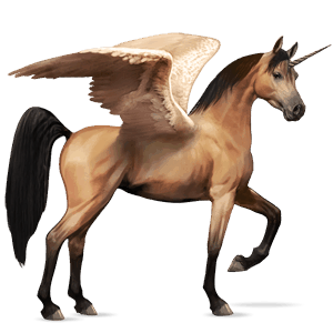 winged riding unicorn arabian horse dun