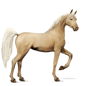 riding horse quarter horse flaxen chestnut 