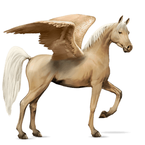 riding pegasus arabian horse flaxen chestnut 