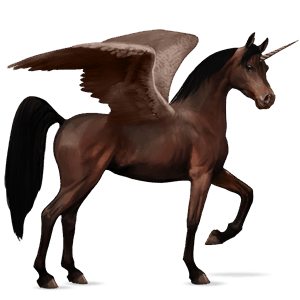 winged riding unicorn dark bay