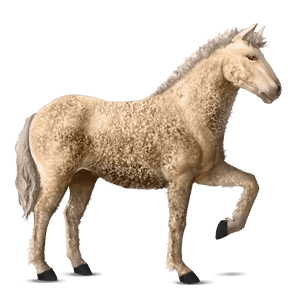 pony newfoundland pony mouse gray