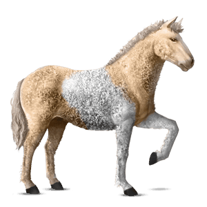 riding horse chestnut