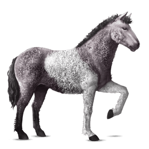 riding horse mouse gray tobiano