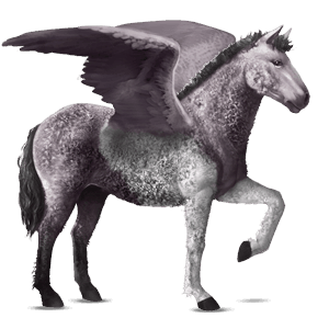 riding pegasus curly mouse gray tobiano