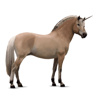 unicorn pony newfoundland pony chestnut