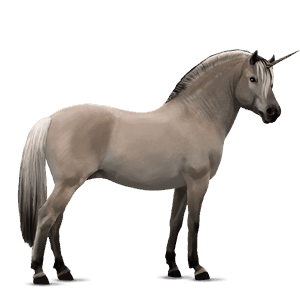 unicorn pony australian pony light gray