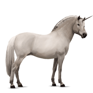 unicorn pony cremello