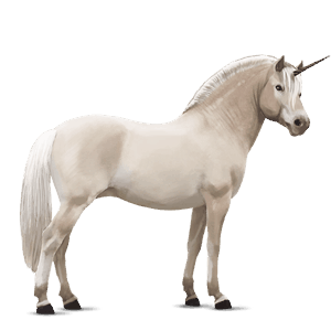 riding unicorn cremello tobiano