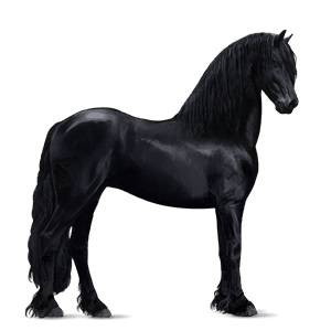 riding horse vanner mouse gray