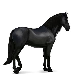 riding horse mangalarga marchador black