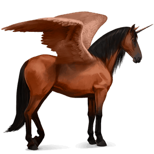 winged riding unicorn canadian horse cherry bay