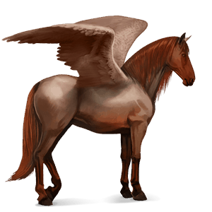 riding pegasus arabian horse light gray