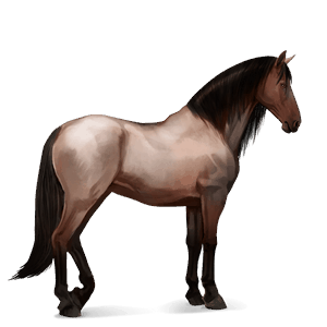 riding horse morgan dun