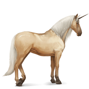 riding unicorn purebred spanish horse light gray