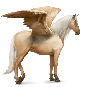 riding pegasus arabian horse fleabitten gray