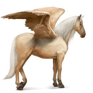 riding pegasus purebred spanish horse palomino