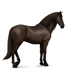 riding horse thoroughbred liver chestnut