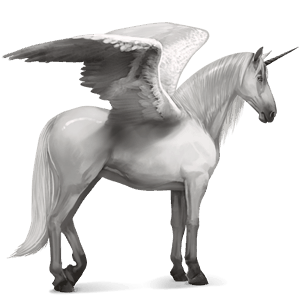 winged riding unicorn knabstrupper few spots