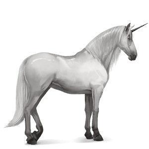 riding unicorn lipizzan light gray