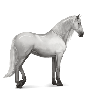 riding horse mangalarga marchador light gray