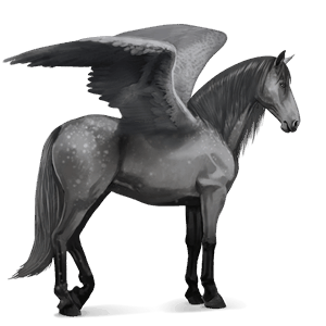 riding pegasus argentinean criollo dapple gray