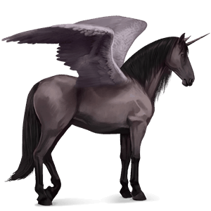 winged riding unicorn purebred spanish horse mouse gray