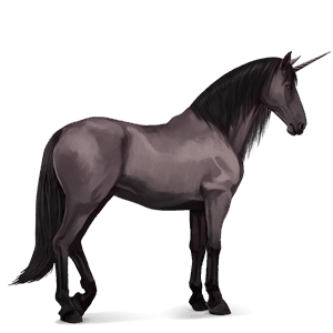 riding unicorn thoroughbred dark bay