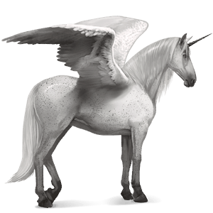 winged riding unicorn barb fleabitten gray