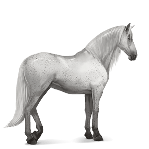 riding horse thoroughbred cremello