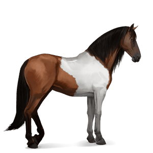 riding horse purebred spanish horse flaxen liver chestnut 