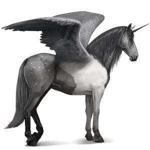 winged riding unicorn purebred spanish horse light gray