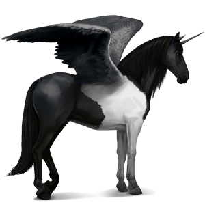 winged riding unicorn black