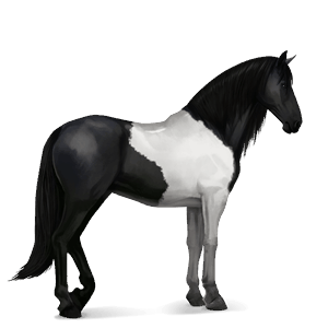 riding horse thoroughbred dark bay