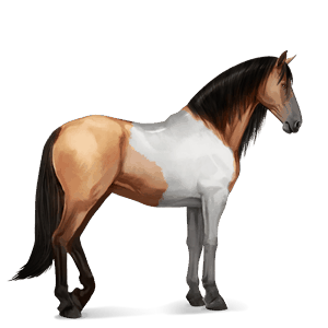 riding horse finnish flaxen chestnut 