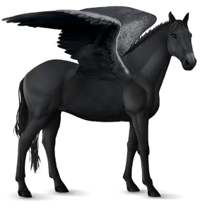 riding pegasus arabian horse dapple gray